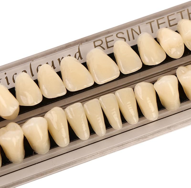 �� �礱�����޽��� ���� ��������� �����ѥ������ ���� �������å� �ϥ�������ۥ顼�ξ�ƻ�� �ۥ磻�ȵ���23 ���åס���������� 28��/���å� ����A3