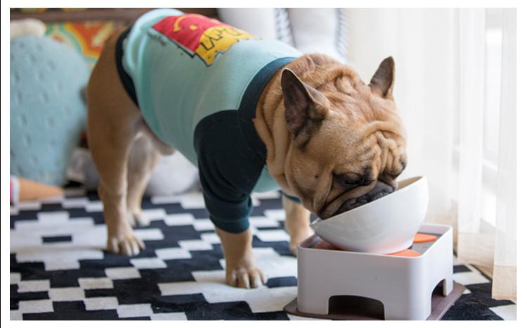 【送料無料】ペット用 えさ皿 給食器 皿 給食台セット 小型犬 中型犬用 食器台 フレンチブルドッグ フ..