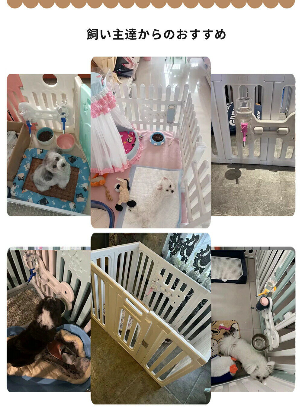 �ڥåȥ���������� �ڥå��ѵ���ܵ뿩�糧�å� �ڥåȤ֤鲼���ܥ��� �ڥåȥ��������� �����������ܥȥ� ���ܥȥ� ������ ���� �ߤ겼���� ��α�����б� ������ ������ �� ǭ ���� ��嵡 ��ư���� ��ϳ���ɻ� ž���ɻ� 500ML