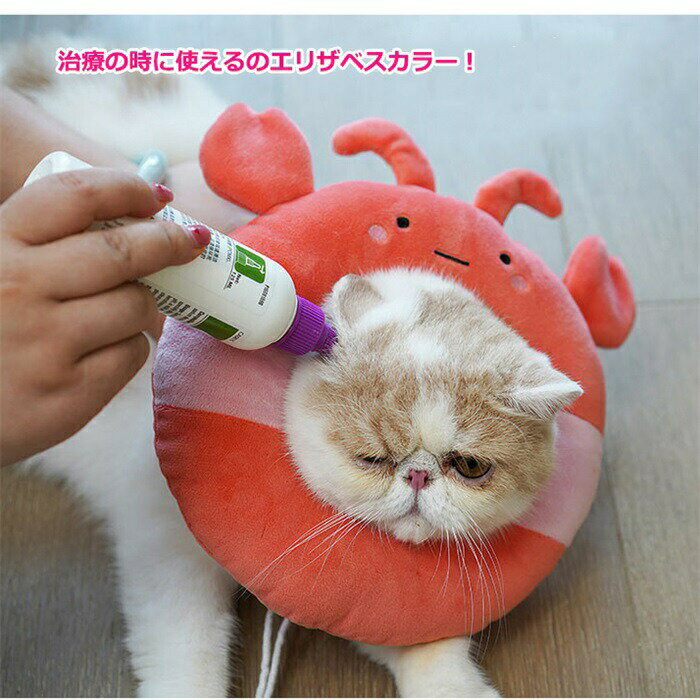 ǭ�ѥ��ꥶ�٥����顼 �ڥåȲ������ ���� ǭ�� ���� ���餫�� ���� �ͥ� ���Ӥ��ɻ� �Ѹ� �����ɻ� �ڥåȲ������ S M L �ɥå������� ǭ�� �볦��...