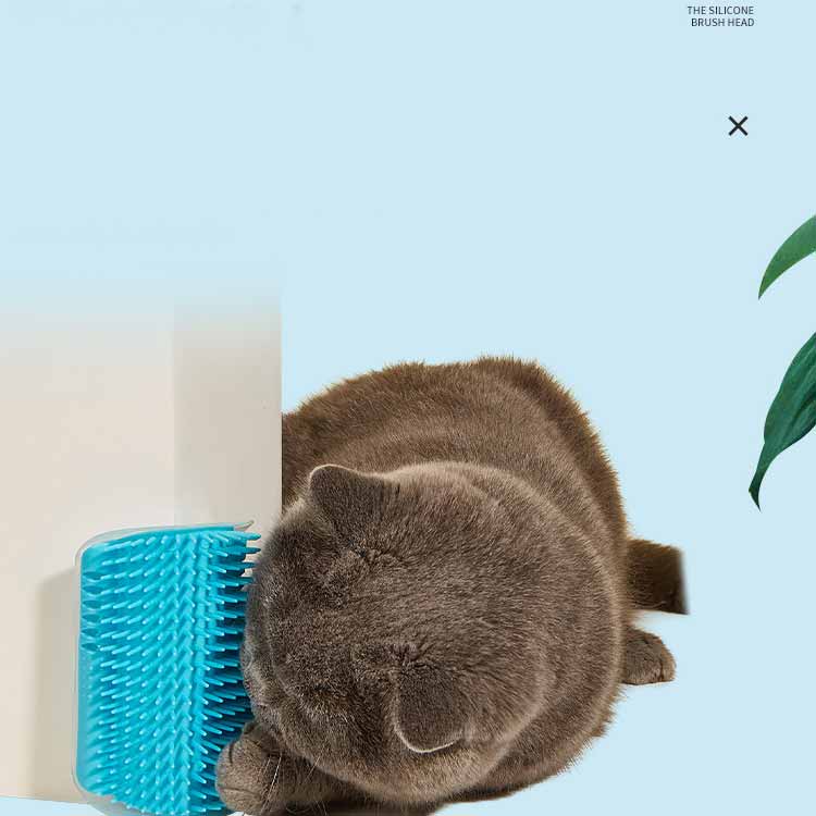 �������� 3�ĥ��åȡ�ǭ �� �� �֥饷 ǭ������� ȴ���Ӽ�� �ޥå������֥饷 ����ե��롼�ߥ󥰥֥饷 �����ͥ���� �ڤ߻ߤ�֥饷 ǭ�����ʡ��ޥå�����...