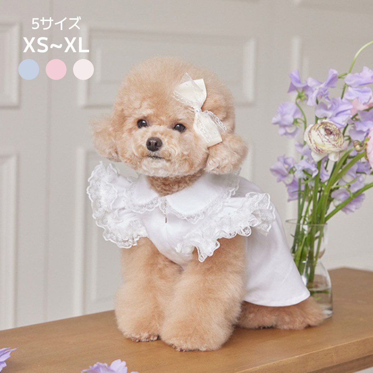 Rakuten - ドッグウェア 犬 服 ワンピース 袖レース付き 春夏 レース スカート 夏服 春服 女の子 通気性 シャツ 涼しい ペット服 犬服 可愛い 春 夏 秋 小型犬 おしゃれ ペットウェア おしゃれ インスタ映え 写真撮影 春夏 お散歩 お出かけ XS S M L XL