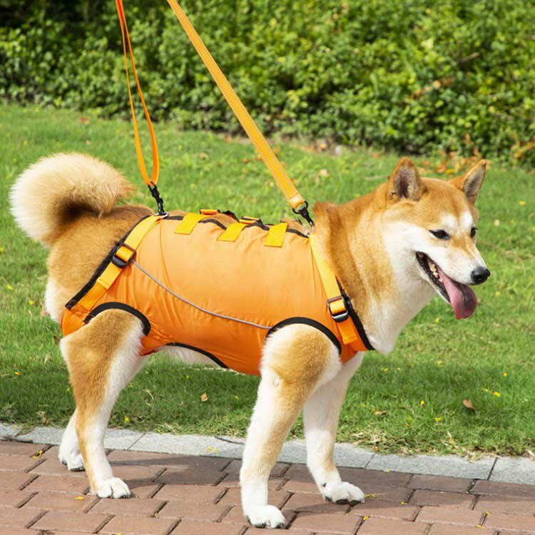smilecoco楽天市場店の犬用ハーネス 介護ハーネス 歩行補助ハーネス 全身ハーネス 介護用ハーネス 犬用 介護用品 歩けない 老犬 シニア犬 小型犬 中型犬 大型犬 排泄介助 送料無料｜アングル2