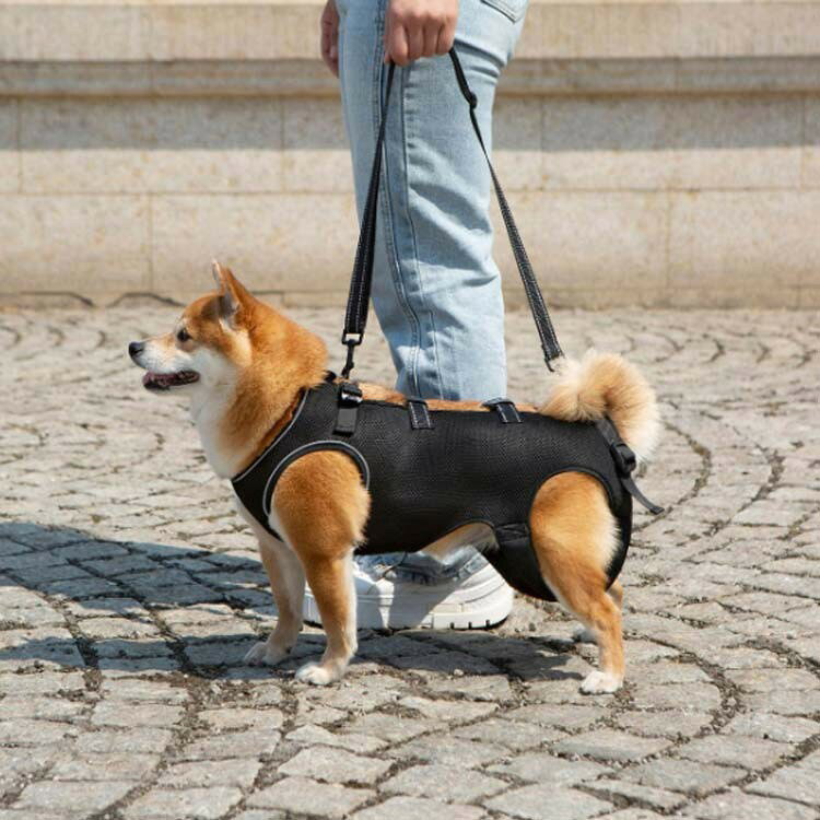 smilecoco楽天市場店の犬用ハーネス 介護ハーネス 歩行補助ハーネス 全身ハーネス 介護用ハーネス 犬用 介護用品 歩けない 老犬 シニア犬 小型犬 中型犬 大型犬 排泄介助 送料無料｜アングル3