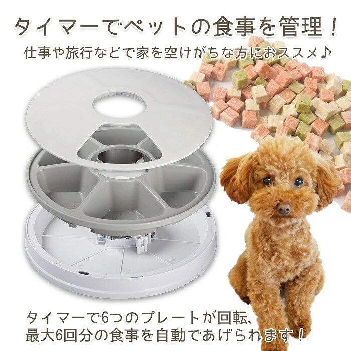 smilecoco楽天市場店の自動給餌器 丸型 オートペットフィーダー 自動 給餌器 ネコ 給餌機 6食分 自動餌やり機 犬 猫 エサやり ドッグフード ペットフード ペット用品 グッズ 犬用 猫用 ###給餌器4PLDH500###｜アングル2