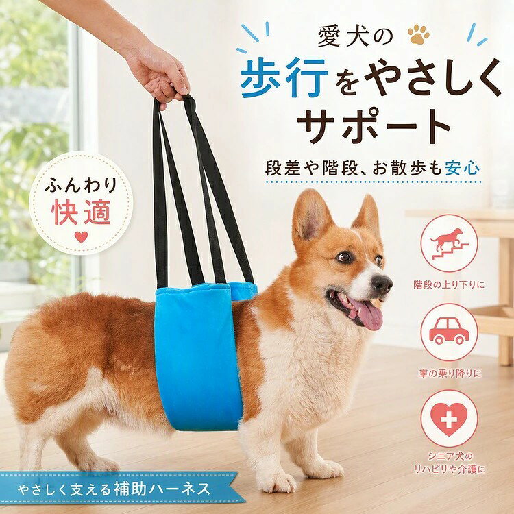 老犬や障害犬の階段昇降や車の乗り降りをサポートする補助ハーネス。小型犬に適した設計で、リハビリ訓練にも役立ちます お客様都合よりキャンセル希望の場合、出来るだけ注文から2営業日以内ご連絡お願い致します。 2営業日以降になると、取り寄せ手数料が発生する場合があり、ご了承お願いします。 (営業日時間 月曜〜土曜 9:00〜18:00) 沖縄など離島地域、送料は1500円になります。 モニターの環境によって、実物と色見が多少異なる場合がございますのでご了承下さい。 大変恐れ入りますがご注文後に商品が品切れとなってしまった際には、 メールもしくは電話にてご連絡いたします。