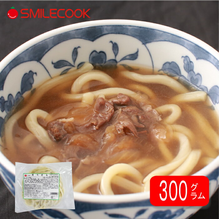冷凍 無添加 自家製魚スープを使った 国産素材の肉うどん 1食入り 麺類 朝食 夕飯 国産牛肉 国産野菜 国内製造 ニッコー