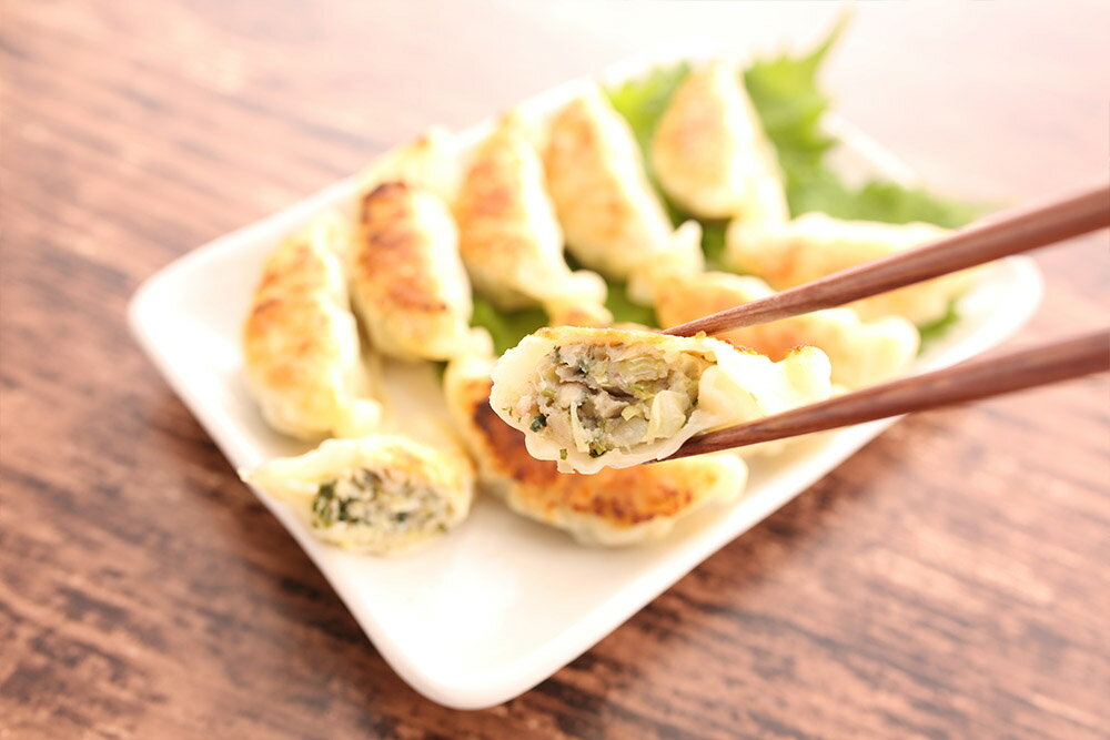 冷凍 国産 無添加 餃子 しそ入り 10個入り 惣菜 夕飯 おかず しそ餃子 大葉　トレー入り