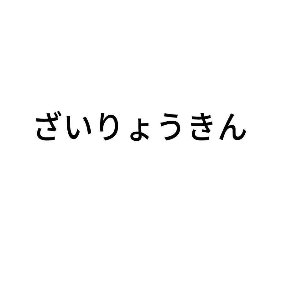 Rakuten - 材料金 追加運賃 差額補填費用