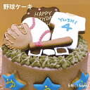 y\َqX@Daisyz@P[L@LOP[L@z[P[L@obh@{[@O[u@싅D@baseball@N싅P[L@aP[L@ACVONbL[@voP[L@`R[gP[L@싅P[L 5(15cm)