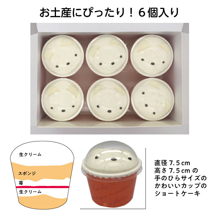 冷凍カップショートケーキ お土産用カップケーキ...の紹介画像3