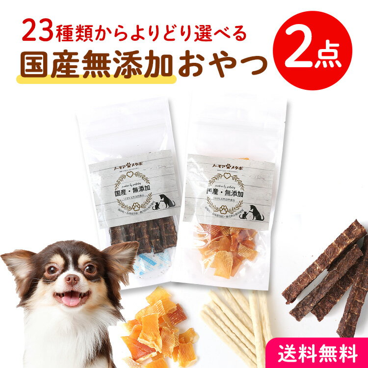 犬 ペットおやつ 無添加 国産 おいしい 選べる2種セット ふりかけ ボーロ 鶏肉 馬肉 鹿肉 鮭 鮪 送料無料 ミニチュアダックス シュナウザー トイプードル チワワ ポメラニアン ヨーキー シーズー マルチーズ ペキニーズ 小型犬 中型犬 大型犬