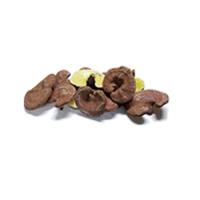 【送料無料】原型霊芝 500g-000008 【送料無料】原型霊芝 500g-000008