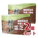 【送料無料】細胞壁破砕特濃5倍顆粒霊芝1g×60包　2個セット【smtb-k】【ky】-000008