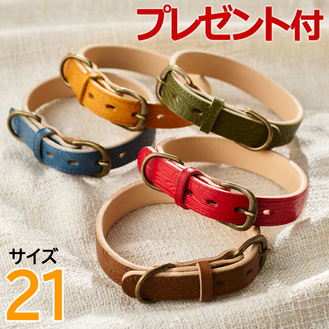 【ボンビアルコン】栃木レザー　平首輪　Collar　サイズ21　【ペット用品】【愛犬】【プレゼント付】【送料無料】【代引料無料】