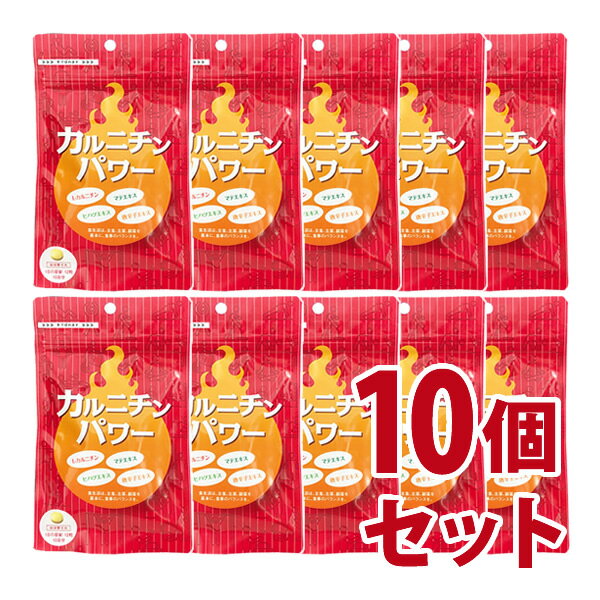 カルニチンパワー　120粒　10個セット-000008