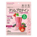 ベジエ ナチュラル スリムプロテイ