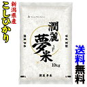 令和6年産新潟県こしひかり10kg 潤麗夢米(じゅんれいゆめまい)【同梱不可】-000008