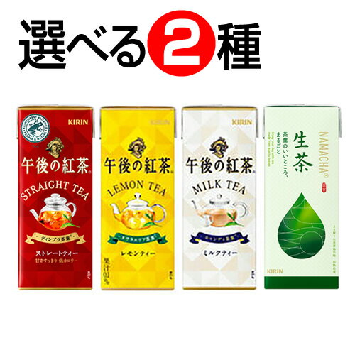 キリン　午後の紅茶・生茶　紙パック　組み合わせ・2ケースセット（48本）-000008