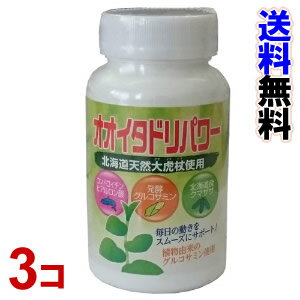 オオイタドリパワー 240粒(波動法製造株式会社) 3個セット 【smtb-k】【ky】-000008