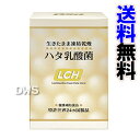 LCH ハタ乳酸菌 【smtb-k】【ky】-000008