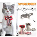 猫 猫用 ハーネス ネコ ペット ベスト かわいい 抜けない ダブル 簡単装着 散歩 胴輪 お出かけ キャット ドッグ メッシュ サイズ交換OK S M L X...