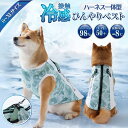 【100円OFFクーポン】ペット クールベスト 犬 ひんやり冷感クール ハーネス一体型 ひんやり ウェア 犬服 暑さ対策 犬用 クールウエア クール ドッグウエ...