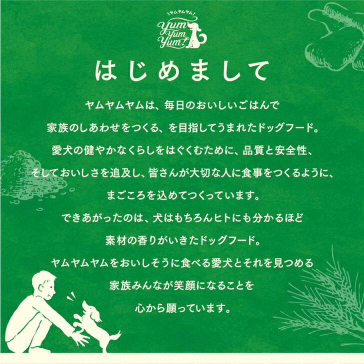 ヤムヤムヤム 馬肉 ドライタイプ 50g 3袋セット 犬用 犬 ドッグ ドッグフード ぺットフード 正規品 国産 無添加 保存料 着色料 香料等 合成添加物 一切不使用 新鮮 ヒューマングレード いぬ ごはん 成犬 シニア犬 老犬 子犬 パピー 超小型犬 チワワ トイプードル Yum Yum Yum smilelife001-10000056 Smile Life Store サンプル画像2