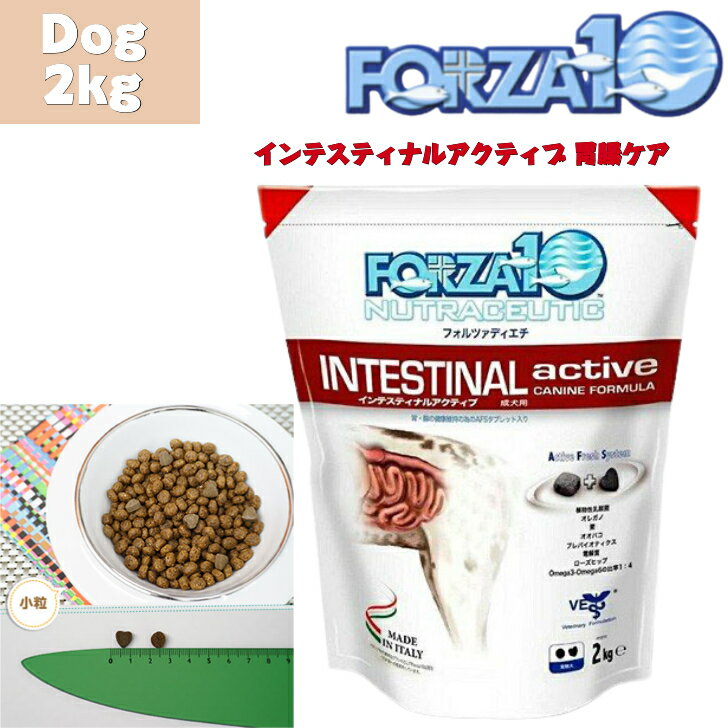 下痢気味の犬向けのドッグフード！腸内ケアできるドッグフードのおすすめを教えて！