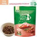 ヤムヤムヤム チキン ドライタイプ 500g 1袋セット 犬 ドッグ 犬用 ドッグフード ぺットフード 正規品 国産 無添加保存料 着色料 香料等 合成添加物 一切不使用 新鮮 ヒューマングレード 小粒 犬 成犬用 成犬 シニア犬 老犬 子犬 パピー 超小型犬 Yum Yum Yum!(4)