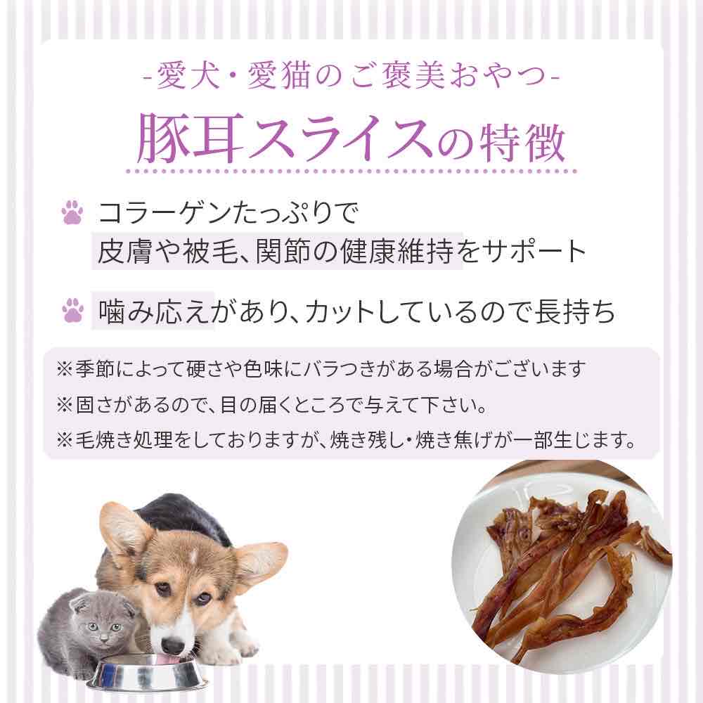 犬 おやつ 無添加【送料無料】 【アウトレット賞味期限2026/08月】 HOPE ホープ 豚...