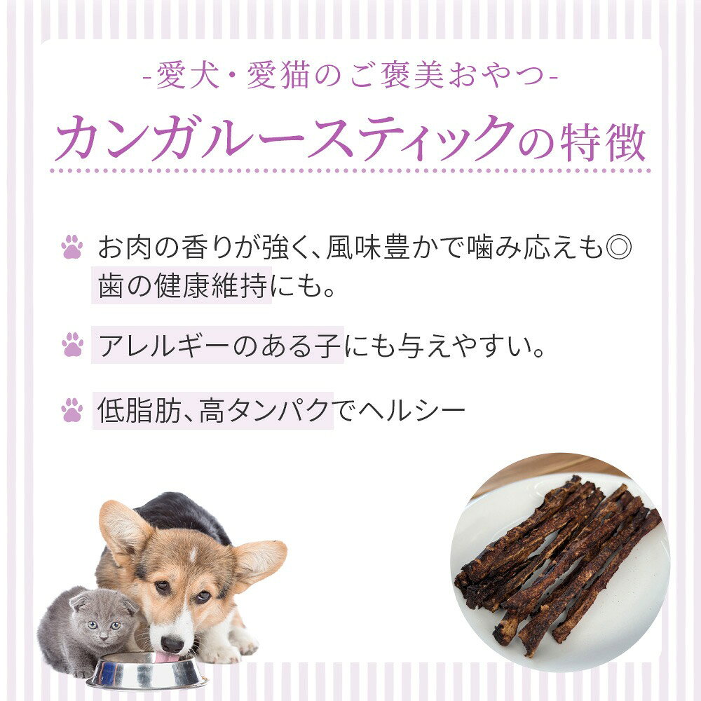 犬 おやつ 無添加 【送料無料】 【アウトレット賞味期限2026/08月】 HOPE ホープ ...