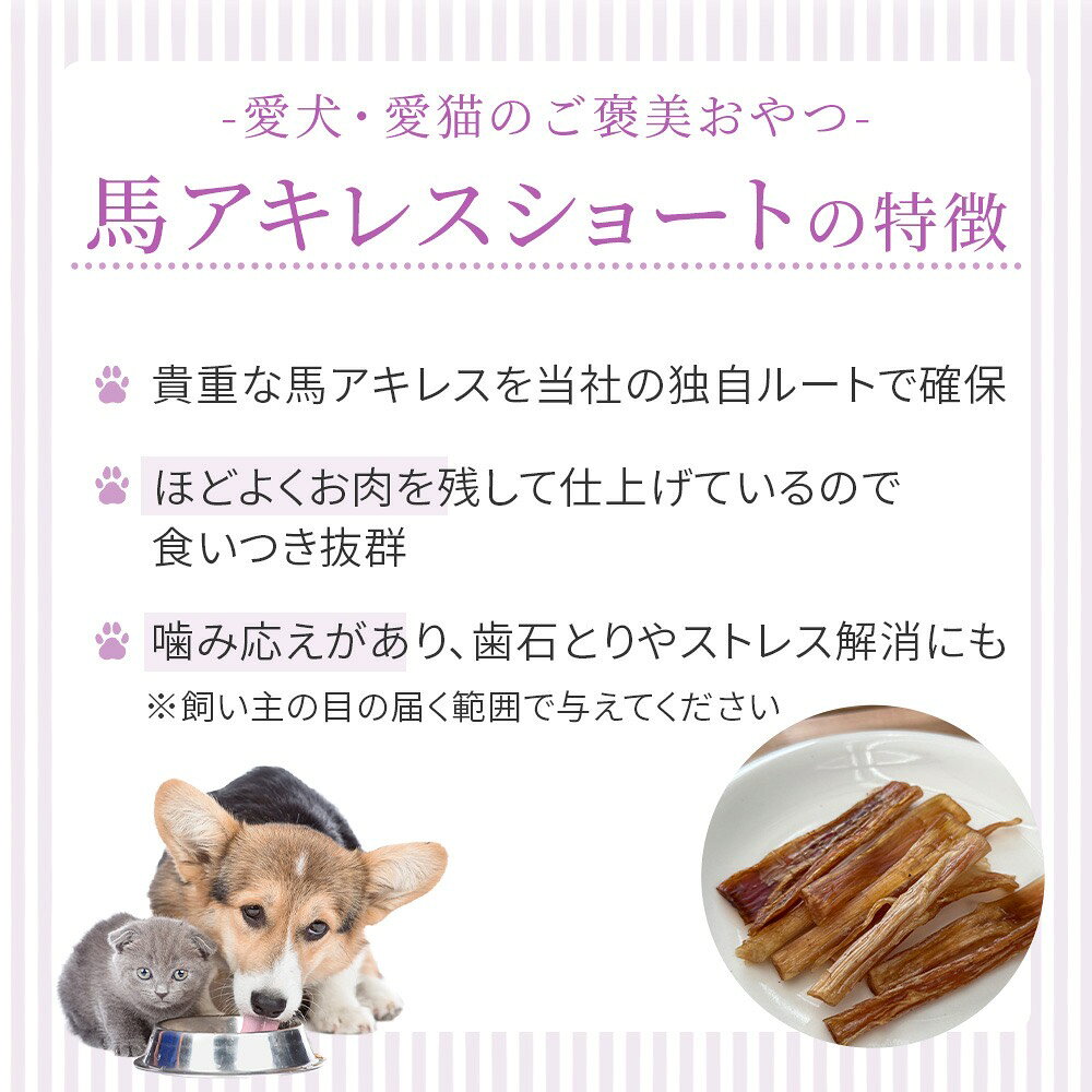 犬 おやつ 無添加 【送料無料】 【アウトレット賞味期限2026/08月】 HOPE ホープ ...