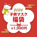 新生活応援【3/27まで 全品ポイント10倍+最大20％OFFクーポン配布】子供マスク 2024福袋 立体 不織布 不織布子供用 こども不織布マスク 小さめマスク 柄マスク キャラクター 子ども不織布マスク 幼稚園 小学生 立体マスク 小さめ ジュニアマスク 女の子 男の子