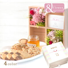 https://thumbnail.image.rakuten.co.jp/@0_mall/smilemarket/cabinet/flower/febxplhysw.jpg