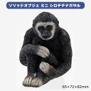 1個入り オブジェ テナガザル 手長猿 ソリッド オブジェ ミニ シロテテナガザル サル てながざる 置物 オブジェ おしゃれ インテリア 動物 アニマル モダン アニマルオブジェ モンキー 丸和貿易