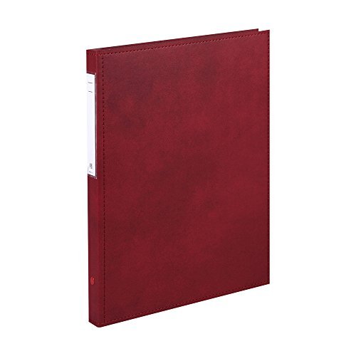 リヒトラブ カルテファイル カルテブック 標準タイプ A4 4穴 レッド HB407-5 送料無料