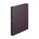 リヒトラブ SELFANA 就活ファイル クリヤーブック ポケット交換式 ボルドーブラック N7200-3 送料無料