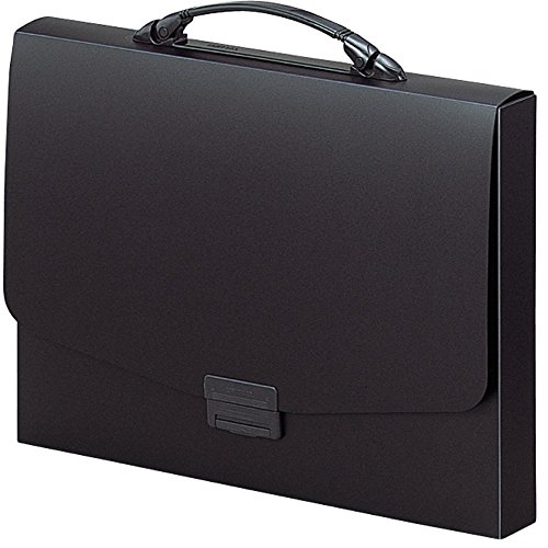 リヒトラブ キャリングケース A4 ブラック F910クロ 送料無料