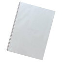 リヒトラブ クリアーポケット A2 60穴 10枚入 N1480 送料無料