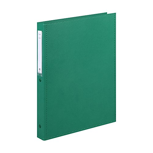 リヒトラブ カルテブック 厚型タイプ A4 30穴 ライトグリーン HB438-4 送料無料