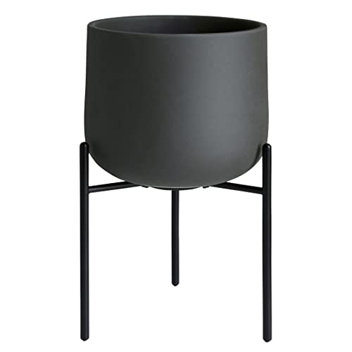 KINTO(ȡ) ץȥݥå 211_ 160mm 졼 ɥ ȭ 29235 ̵