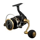 ダイワ(DAIWA) スピニングリール 23BG SW 6000D-H 送料無料