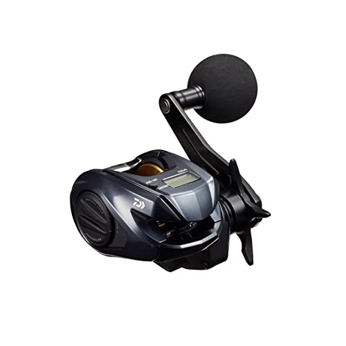 Other - ダイワ(DAIWA) 両軸リール 22 ライトゲーム IC 150L(2022モデル) 送料無料