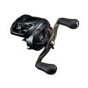 ダイワ(DAIWA) 21 タトゥーラ TW 400L 送料無料