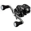 ダイワ(DAIWA) ジギング 21 ティエラ A IC 150H-DH 送料無料