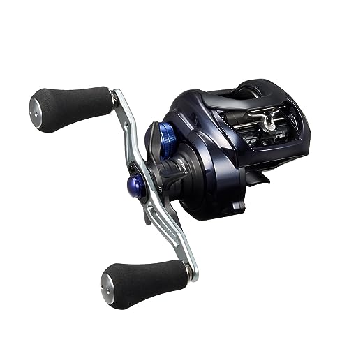 (DAIWA) ٥ȥ꡼ 23SALTIST TW 300XH PE SPECIAL ̵