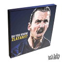 ポップアートフレーム Zlatan Ibrahimovic　ズラタン・イブラヒモヴィッチ（PSG） KEETATAT SITTHIKET アートパネル インテリア 雑貨 店舗 内装 玄関 おしゃれ ポスター 絵 イラスト 壁掛け サッカー選手 フォワード パリ・サンジェルマン レジェンド スウェーデン代表