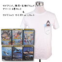 DVD＆Tシャツのセット サメアニメ 海洋・生物ドキュメンタリー アソート全6巻セットとサメTシャツ MサイズorLサイズのセット 鮫 さめ