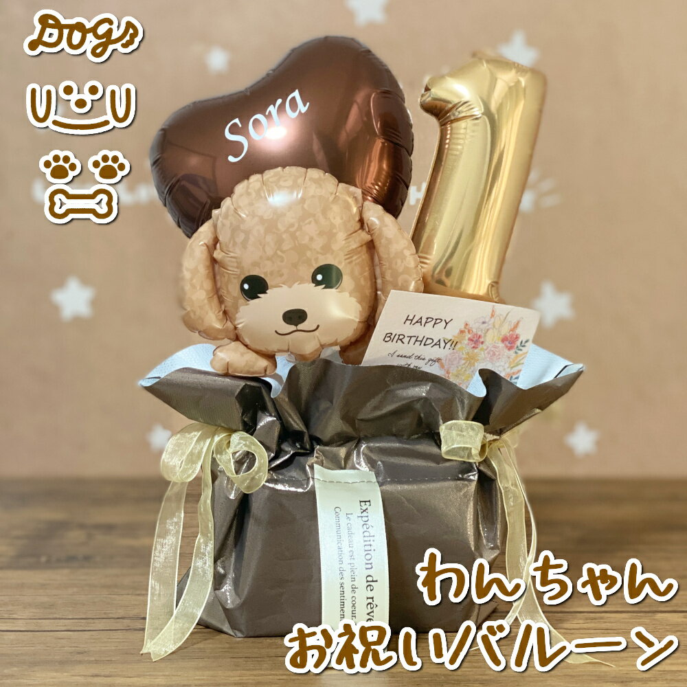  ͤ  ǭ  ץ쥼 ˤ ưʪ± ǯǰ Ƹ Х롼 Х롼󥮥ե ڥåȥå Źˤ ǯˤ ӡ...